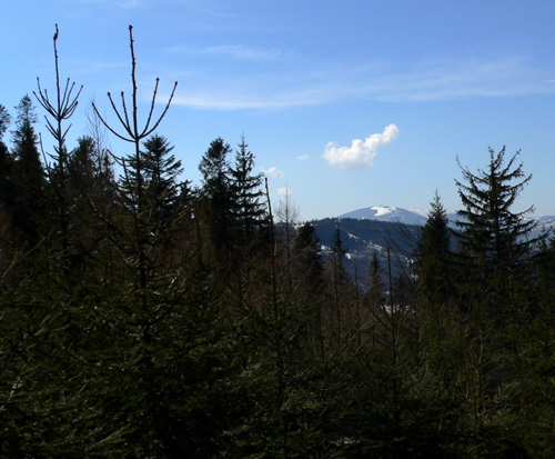 Widok z Gaików Widok z Gaików