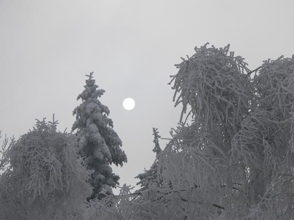Na Łysej Przełęczy (Siodło) zima Na Łysej Przełęczy (Siodło) zima