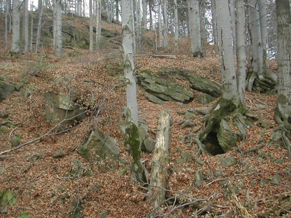 Czarne Działy fot. Dariusz Tlałka