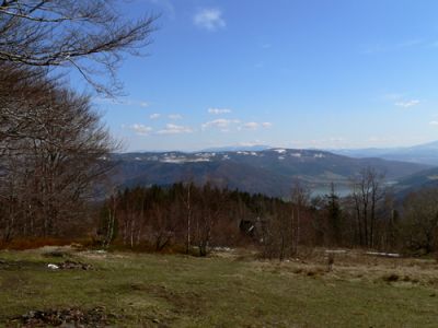 ostatnie zdjecie