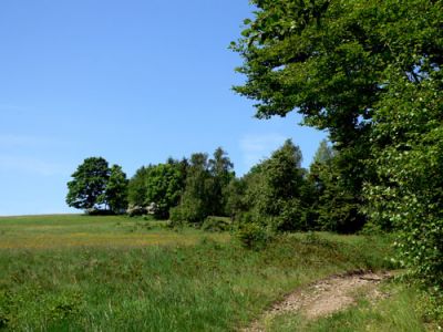 ostatnie zdjecie