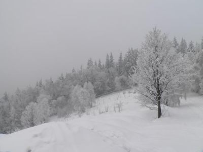 Łysa Przełęcz widok w strone Łysej Góry