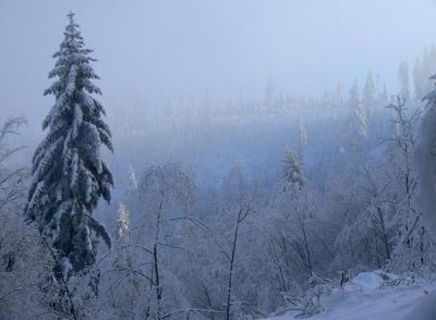ostatnie zdjecie