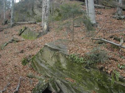 ostatnie zdjecie