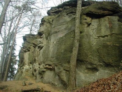 ostatnie zdjecie