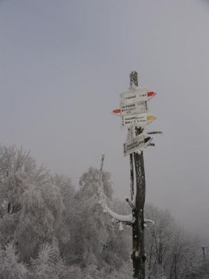 ostatnie zdjecie