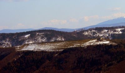 ostatnie zdjecie