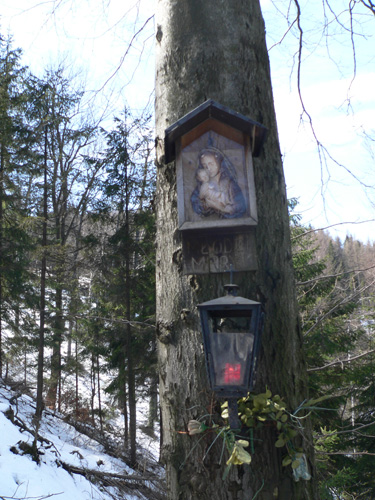Młodzi Maryji fot. Lowell Młodzi Maryji fot. Lowell
