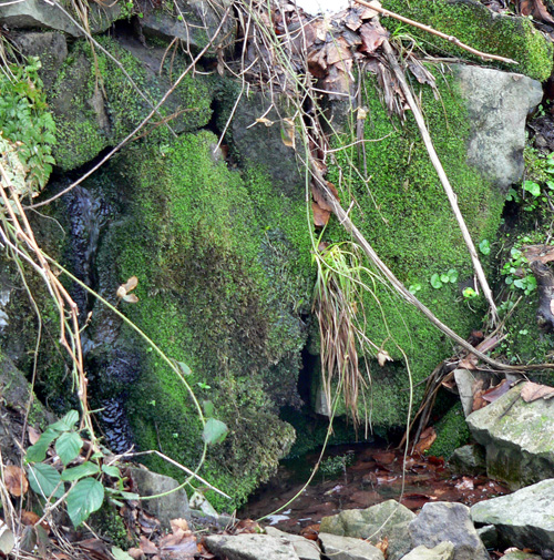 Źródło Maryjne fot.Lowell Źródło Maryjne fot.Lowell