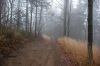 Filename=Koc 1.jpeg
Filesize=51KB
Dimensions=600x400
Date added=Jan 03, 2010 Koc 1.jpeg