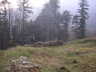 ostatnie zdjecie