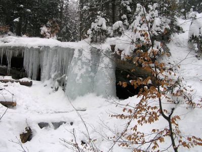 ostatnie zdjecie