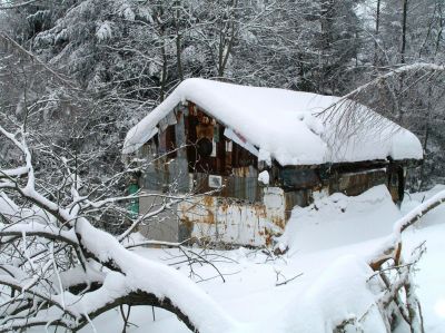 ostatnie zdjecie