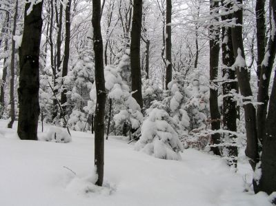 ostatnie zdjecie