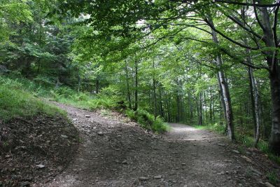 ostatnie zdjecie