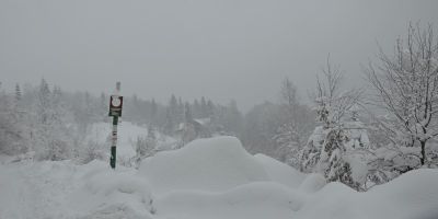 ostatnie zdjecie