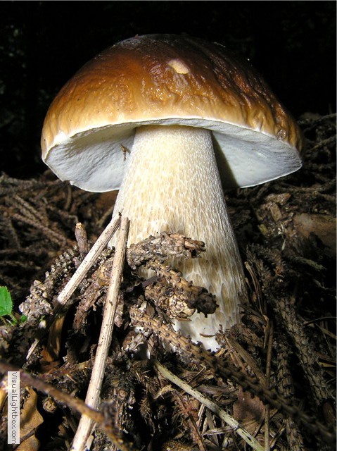 ostatnie zdjecie