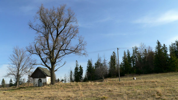 http://www.beskidmaly.pl/cpg14x/albums/wsad/czarownica%20207.jpg