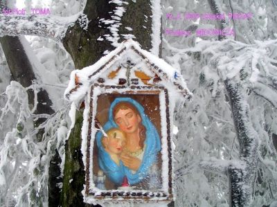 ostatnie zdjecie