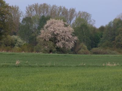 ostatnie zdjecie