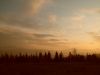 Filename=SDC12560.JPG
Filesize=59KB
Dimensions=800x600
Date added=Dec 01, 2009 SDC12560.JPG