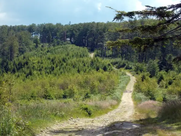 W drodze na Czupel fot. Marzena Majka Solarz