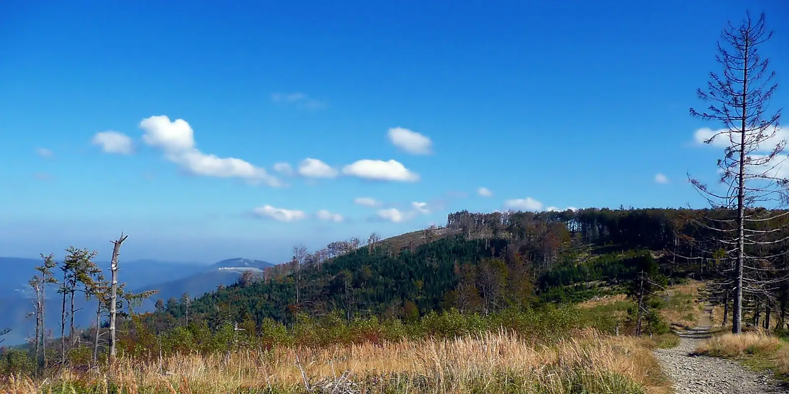 Czupel fot. Krzysztof Lukas