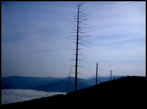 Jak jeden cień w dolinie mgieł... źródło: Galeria Beskidu Malego