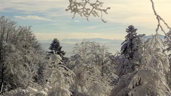 Widok na Tatry. Zdjęcie zrobione 27.01.2014 , ze szczytu, niedaleko ławeczki. Autor: Krzysztof Stanclik