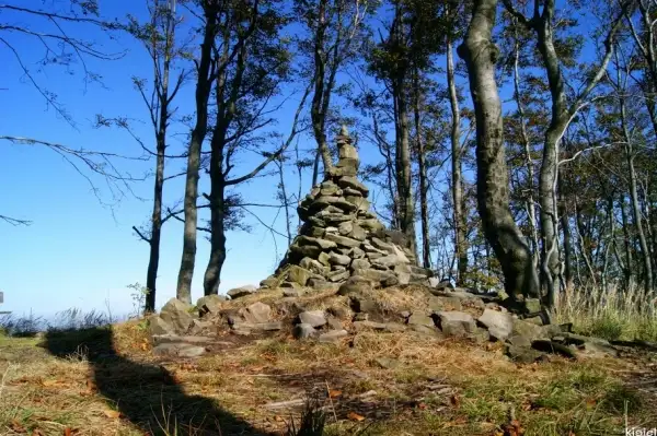 Sam czubek Czupla :-) Autor: Kisiel