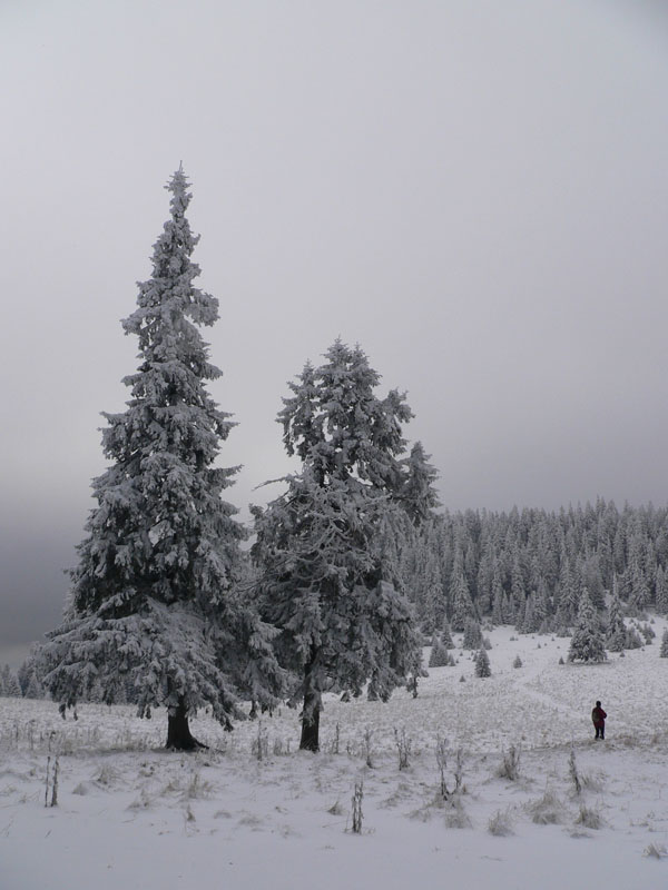 http://www.beskidmaly.pl/images/chocz/P1300607.JPG