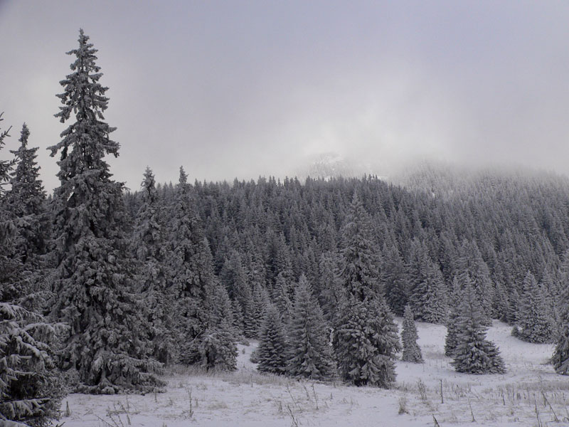 http://www.beskidmaly.pl/images/chocz/P1300610.JPG