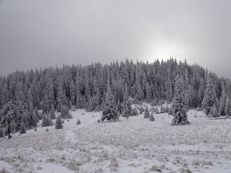 http://www.beskidmaly.pl/images/chocz/P1300613.JPG