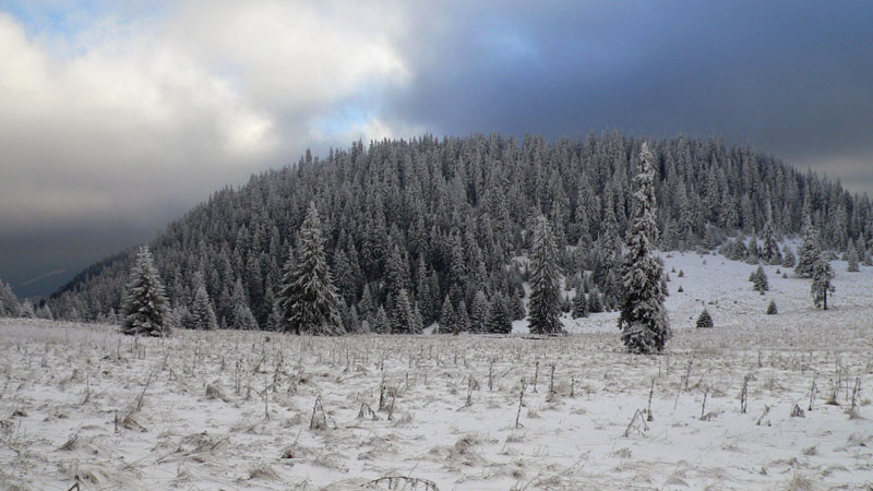 http://www.beskidmaly.pl/images/chocz/P1300657.JPG