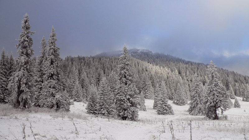 http://www.beskidmaly.pl/images/chocz/P1300665.JPG