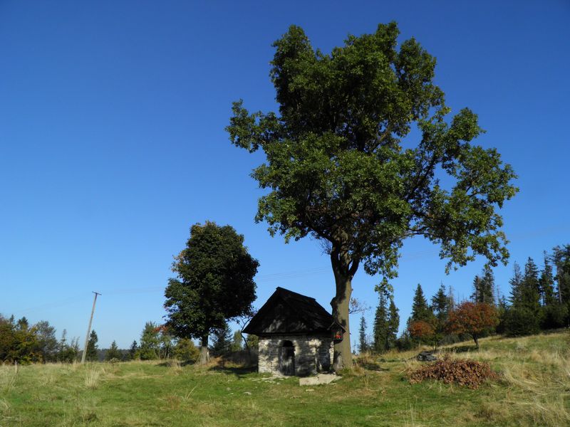 http://www.beskidmaly.pl/images/kap11.jpg