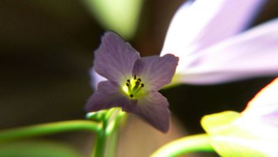 http://www.beskidmaly.pl/pun/extensions/hcs_image_uploader/uploads/10000/1000/11394/thumb/p15uua16772tlma61843ha1sic.jpg