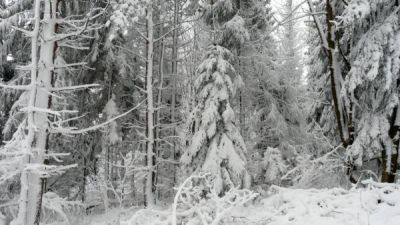 http://www.beskidmaly.pl/pun/extensions/hcs_image_uploader/uploads/10000/7500/17757/thumb/p16iso0bua16fn1oe6mnocg81ivq1.JPG