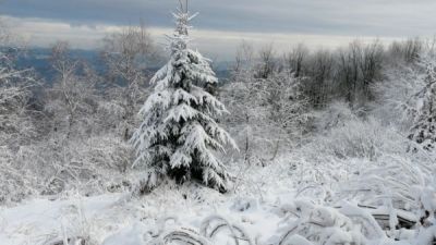http://www.beskidmaly.pl/pun/extensions/hcs_image_uploader/uploads/10000/7500/17757/thumb/p16iso0hqls7nn5rbvu1g2m1jh03.JPG