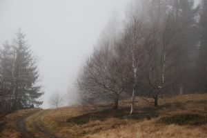 http://www.beskidmaly.pl/pun/extensions/hcs_image_uploader/uploads/20000/5000/25338/thumb/p17ahrv8n01cki1m8l1kf017om1eem1.jpg