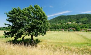 http://www.beskidmaly.pl/pun/extensions/hcs_image_uploader/uploads/20000/7500/27697/thumb/p17ha6qsn2le61ncigjl1vll166p1.jpg
