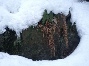 http://www.beskidmaly.pl/pun/extensions/hcs_image_uploader/uploads/20000/8500/28736/thumb/p17k5u4sno3c51h3l9051c70opn2.JPG
