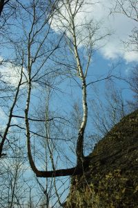 http://www.beskidmaly.pl/pun/extensions/hcs_image_uploader/uploads/30000/0/30437/thumb/p17o6sutubsosqn1fnntir1ju89.jpg