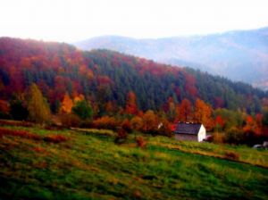 http://www.beskidmaly.pl/pun/extensions/hcs_image_uploader/uploads/30000/4500/34524/thumb/p186mrdaql1a80hk11nhv15rl10jl1.JPG