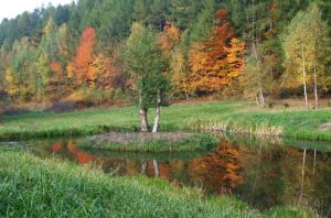 http://www.beskidmaly.pl/pun/extensions/hcs_image_uploader/uploads/30000/5500/35564/thumb/p189p2sl0d56l4qr6925am1mb02.jpg