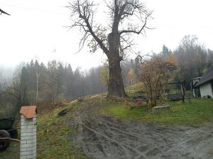 http://www.beskidmaly.pl/pun/extensions/hcs_image_uploader/uploads/30000/6500/36675/thumb/p18clmnun716rm1gkecp1ntf1f11.JPG
