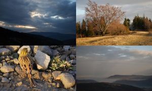 http://www.beskidmaly.pl/pun/extensions/hcs_image_uploader/uploads/30000/7000/37285/thumb/p18em3l1rdp5a14dm1fjk1o118ij2.jpg