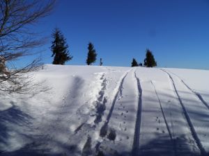 http://www.beskidmaly.pl/pun/extensions/hcs_image_uploader/uploads/40000/2000/42310/thumb/p19e7c804ak7k123615gpui4ik3a.JPG