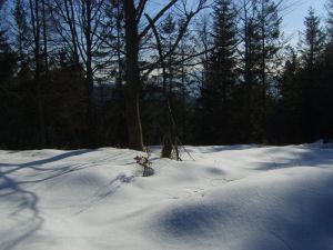 http://www.beskidmaly.pl/pun/extensions/hcs_image_uploader/uploads/40000/2500/42561/thumb/p19ftccf3v18fq1bah17er1b801hmb3.jpg