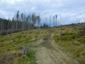 http://www.beskidmaly.pl/pun/extensions/hcs_image_uploader/uploads/40000/2500/42974/thumb/p19jrn4udr9s9b731voull51vkv2.jpg